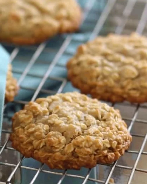 Galletas de avena recién horneadas en un plato
