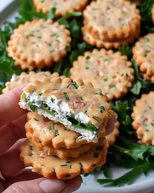 Galletas de queso crema y salmón en un elegante plato de presentación